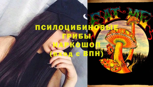 бошки Абинск